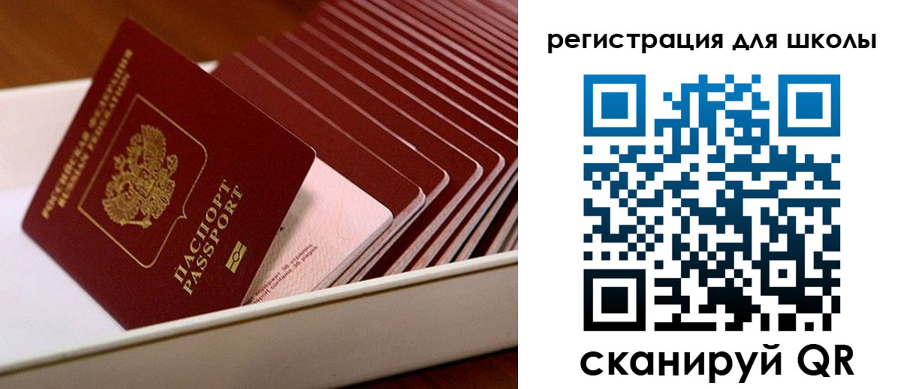 прописка гарантия в Ульяновской области